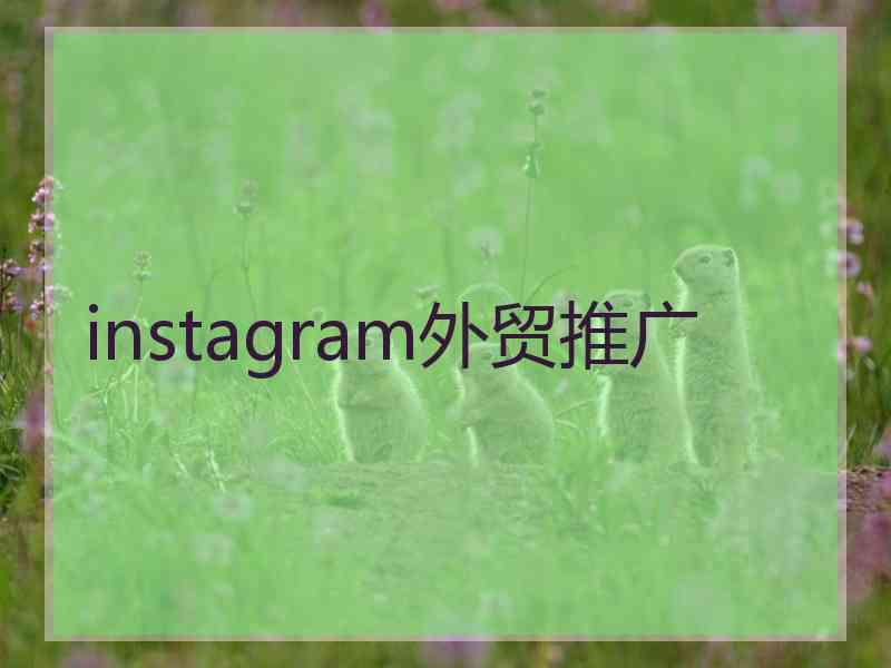 instagram外贸推广