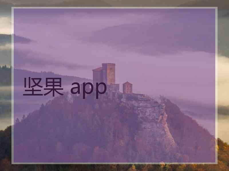 坚果 app