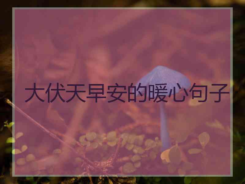 大伏天早安的暖心句子