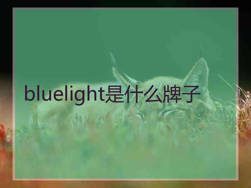 bluelight是什么牌子