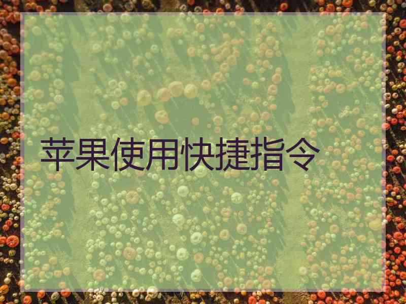 苹果使用快捷指令