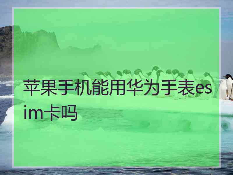 苹果手机能用华为手表esim卡吗