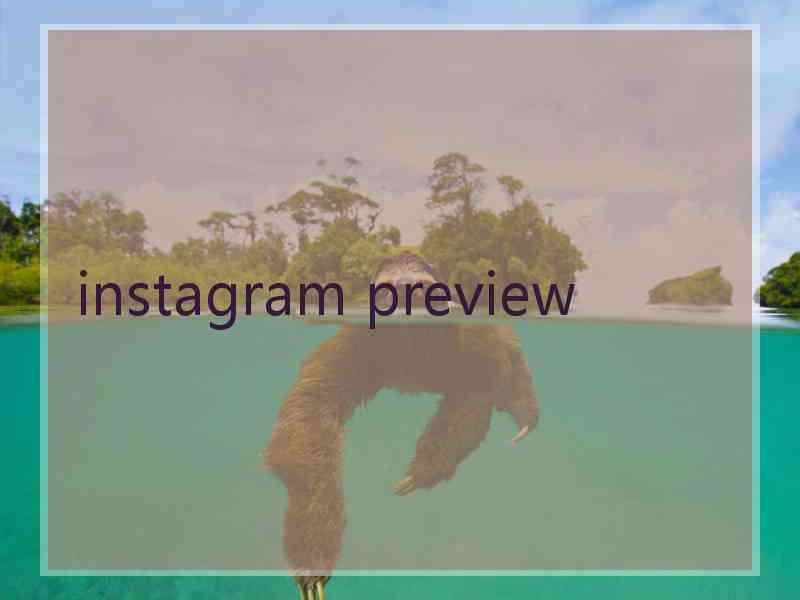 instagram preview