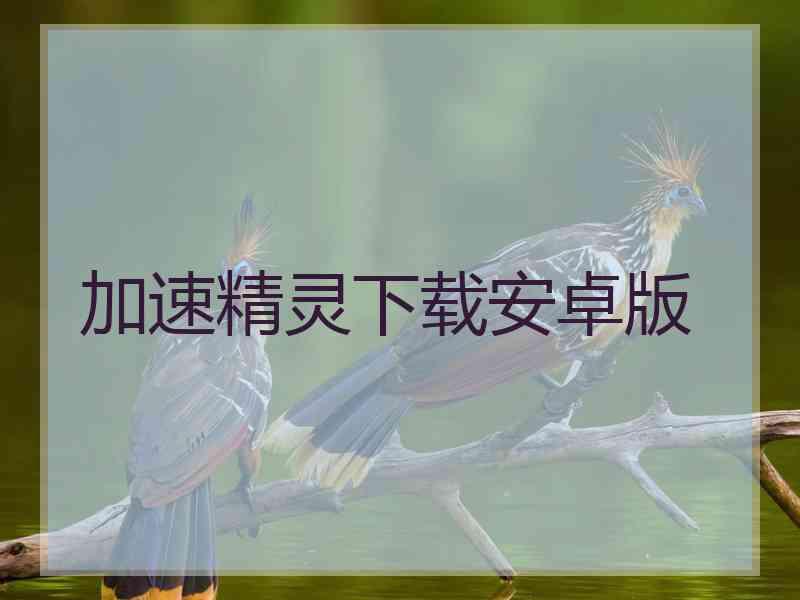 加速精灵下载安卓版