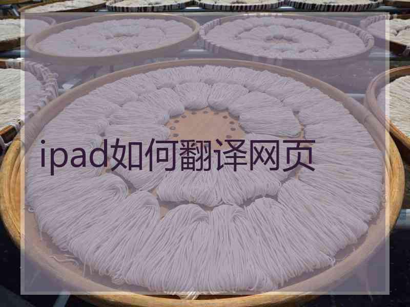 ipad如何翻译网页