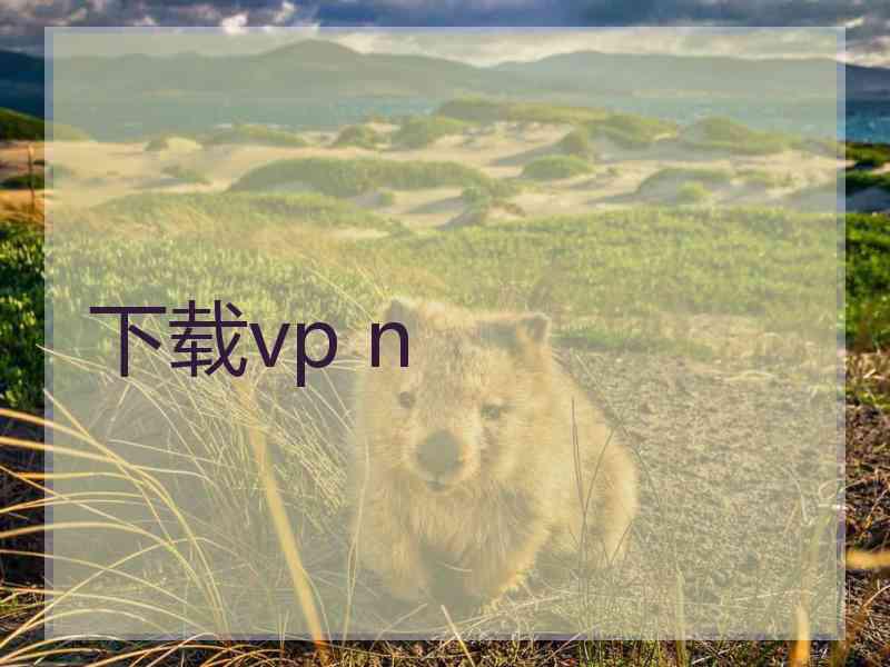 下载vp n