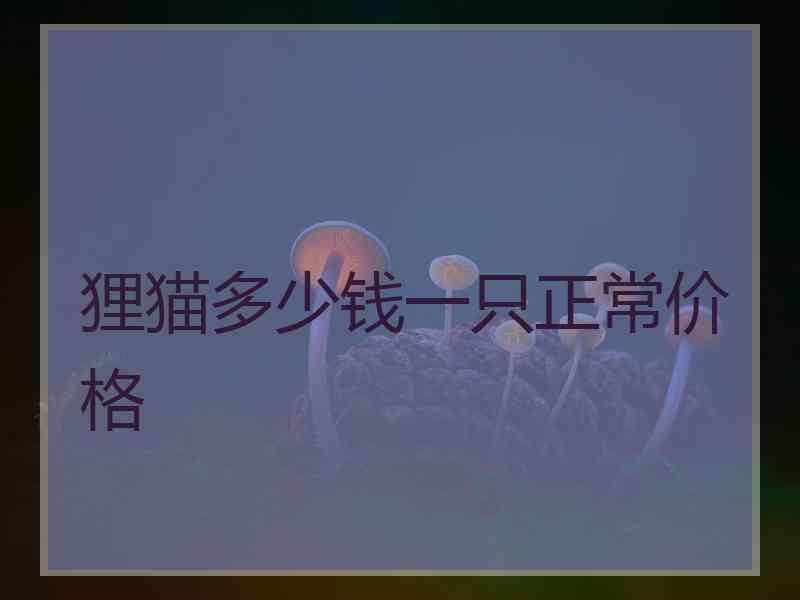 狸猫多少钱一只正常价格