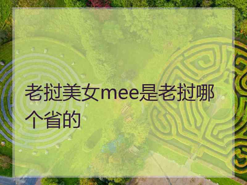 老挝美女mee是老挝哪个省的