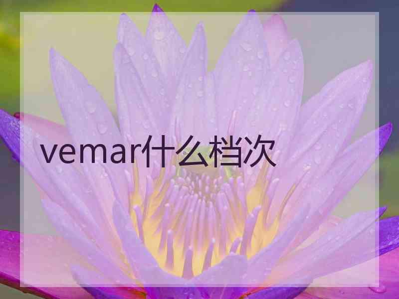 vemar什么档次