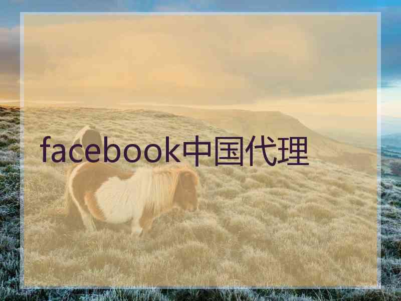 facebook中国代理