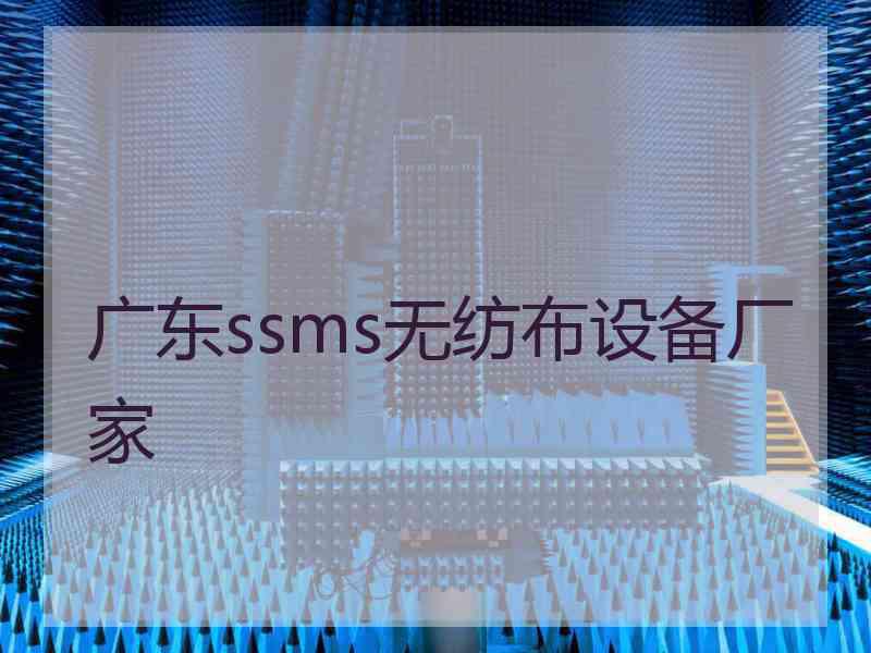 广东ssms无纺布设备厂家