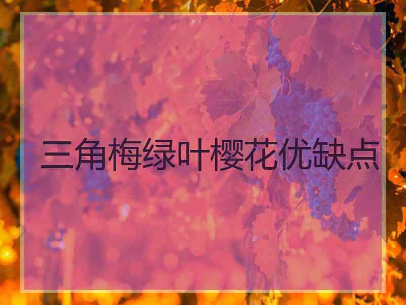 三角梅绿叶樱花优缺点