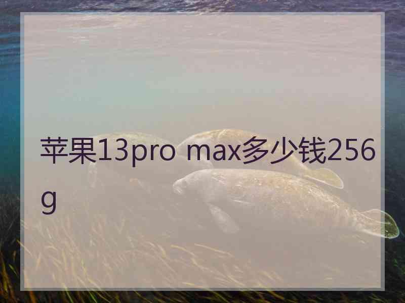 苹果13pro max多少钱256g