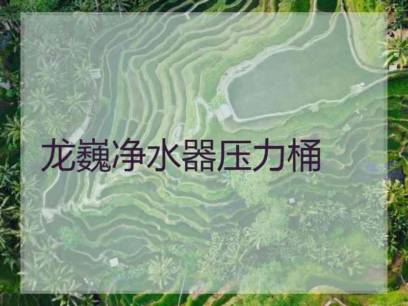 龙巍净水器压力桶