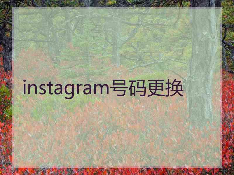 instagram号码更换