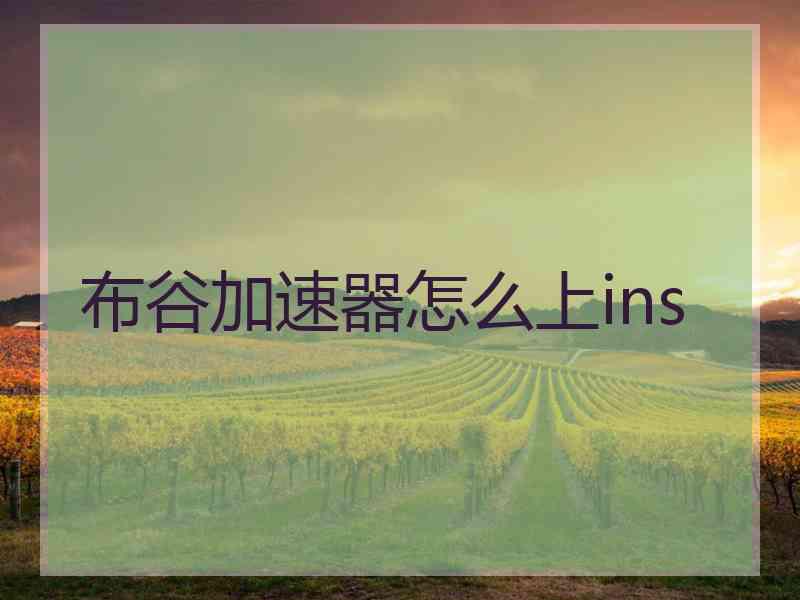 布谷加速器怎么上ins