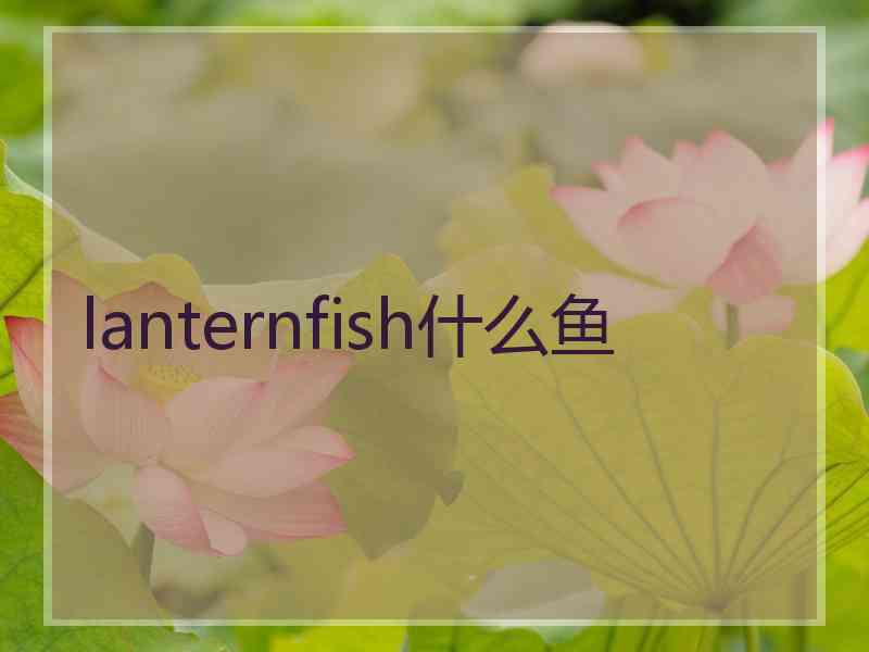 lanternfish什么鱼