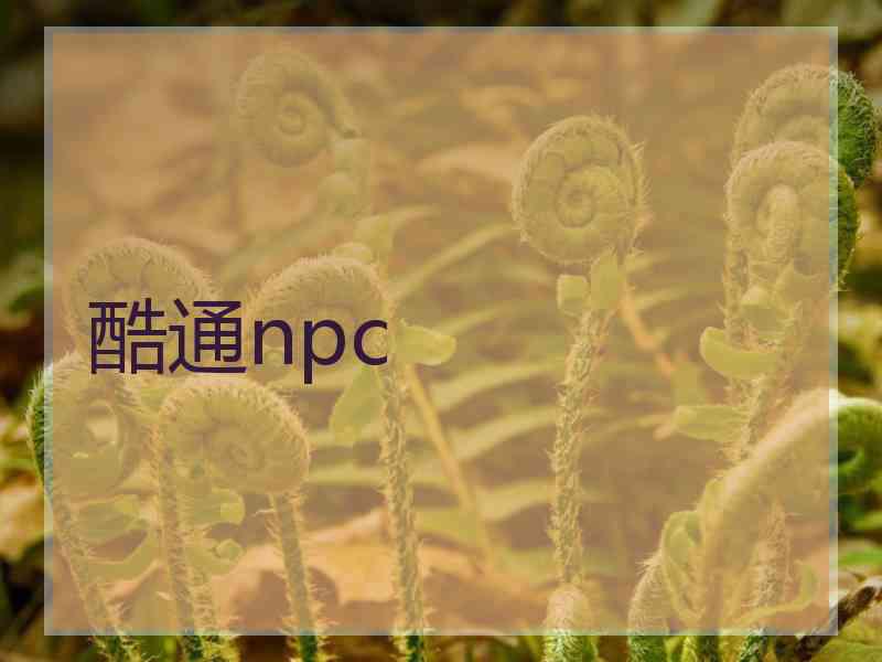 酷通npc