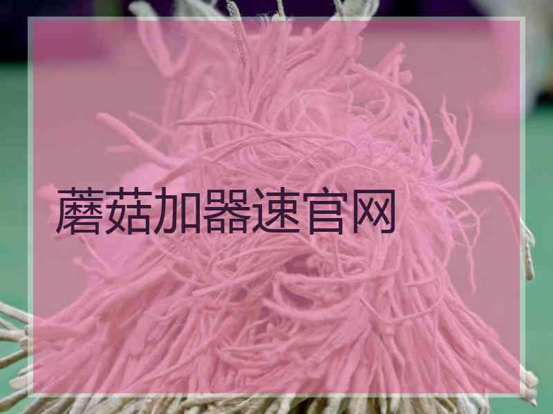 蘑菇加器速官网