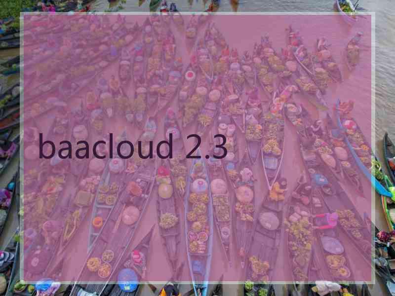 baacloud 2.3