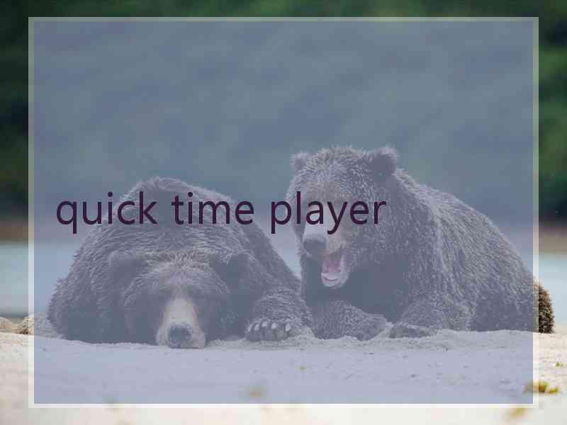 quick time player