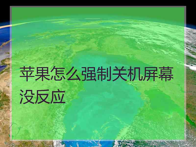 苹果怎么强制关机屏幕没反应