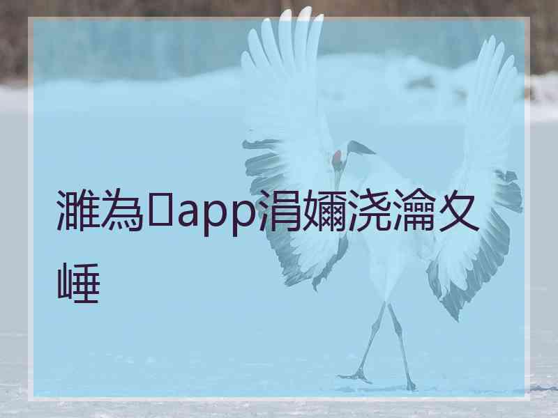 濉為app涓嬭浇瀹夊崜