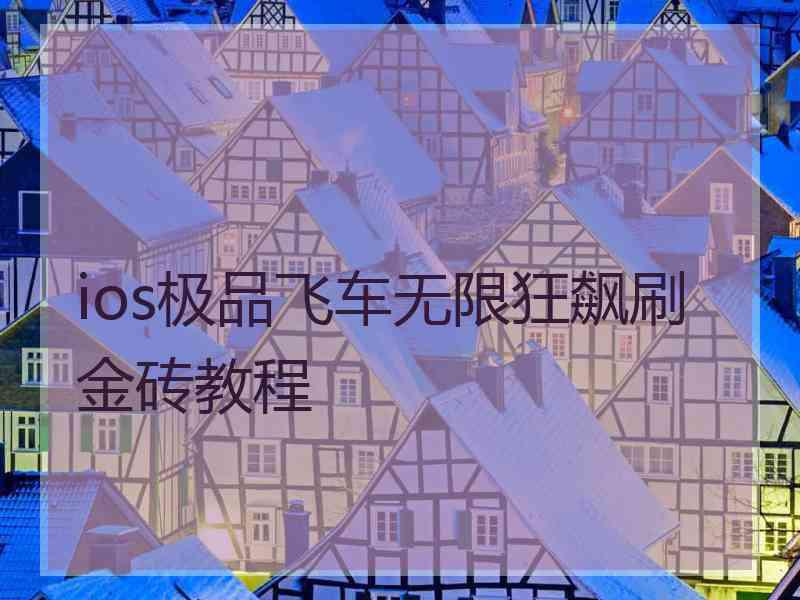 ios极品飞车无限狂飙刷金砖教程