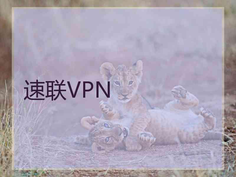 速联VPN