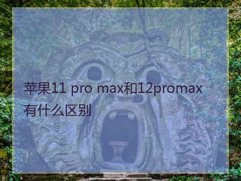 苹果11 pro max和12promax有什么区别