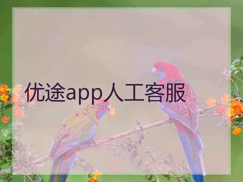 优途app人工客服