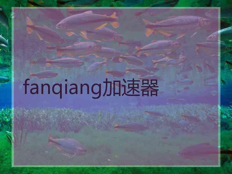 fanqiang加速器