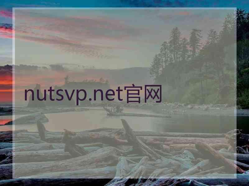 nutsvp.net官网