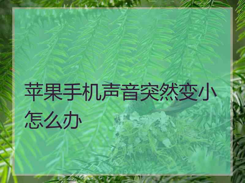 苹果手机声音突然变小怎么办