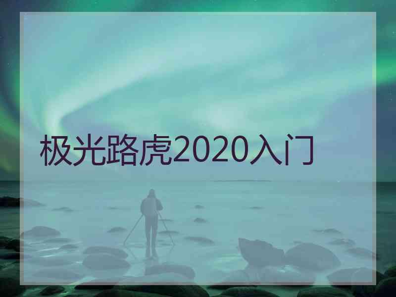 极光路虎2020入门