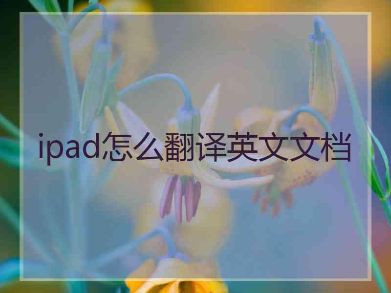 ipad怎么翻译英文文档