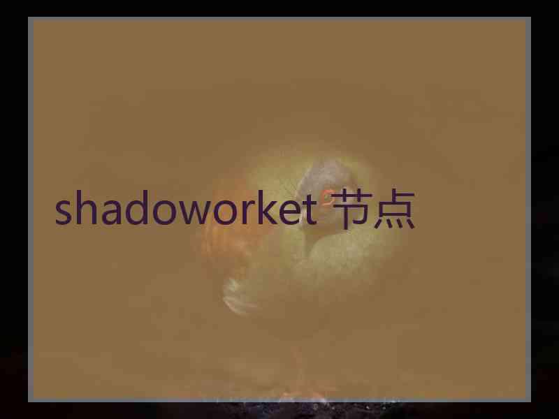 shadoworket 节点