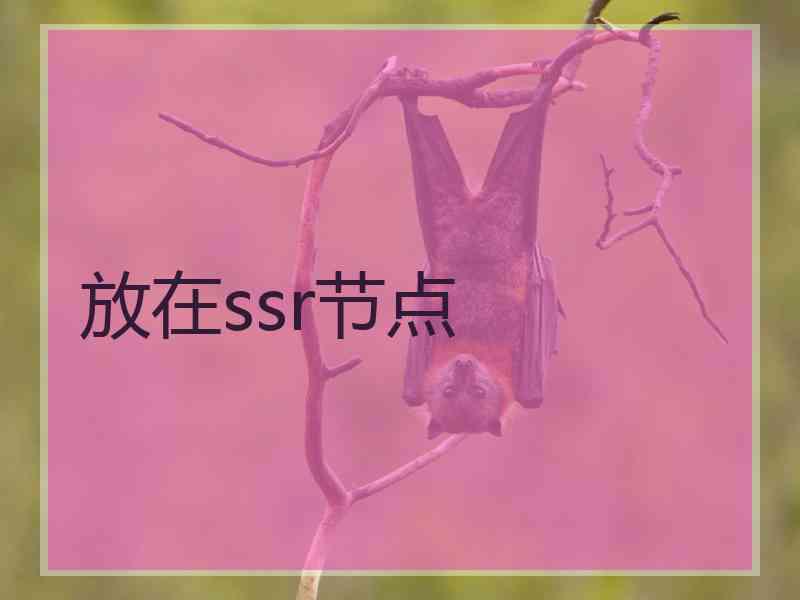 放在ssr节点