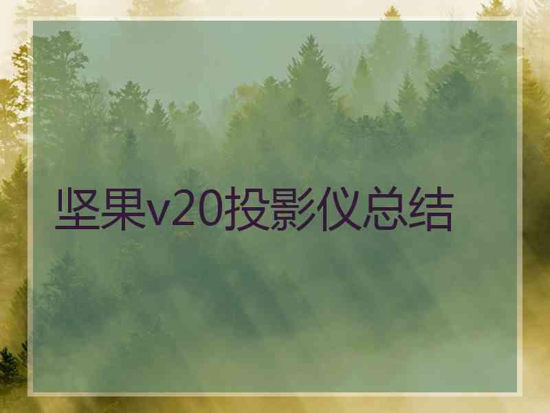 坚果v20投影仪总结