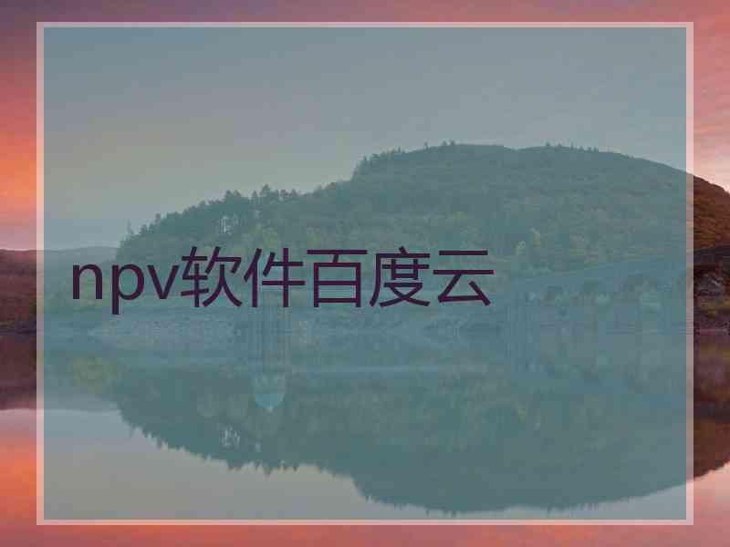 npv软件百度云