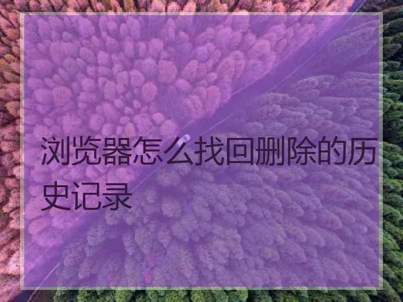 浏览器怎么找回删除的历史记录