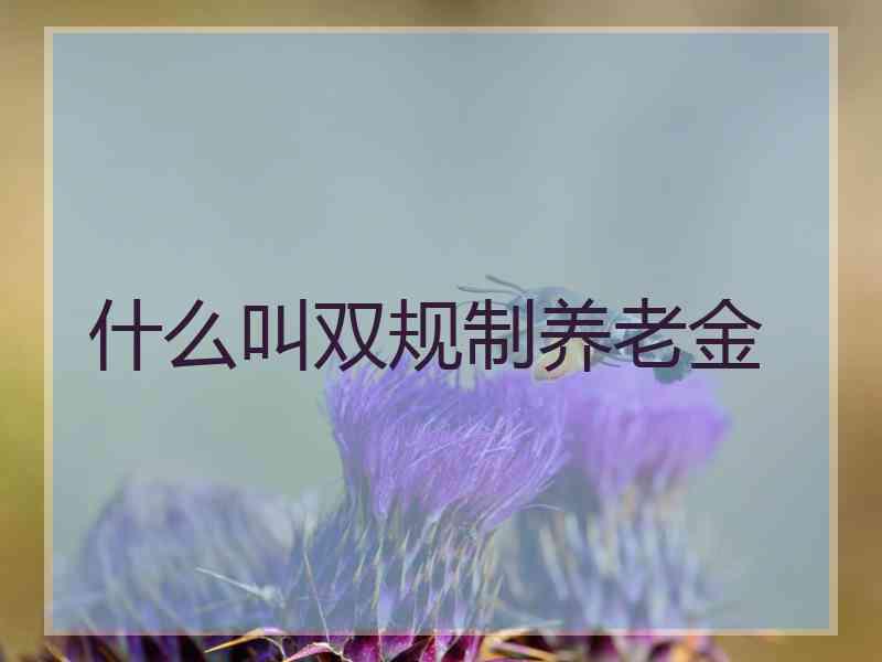 什么叫双规制养老金