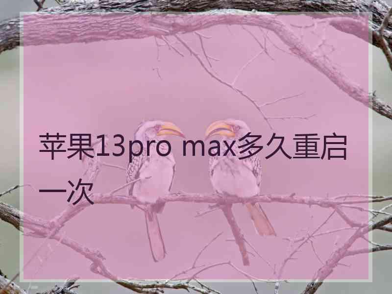 苹果13pro max多久重启一次