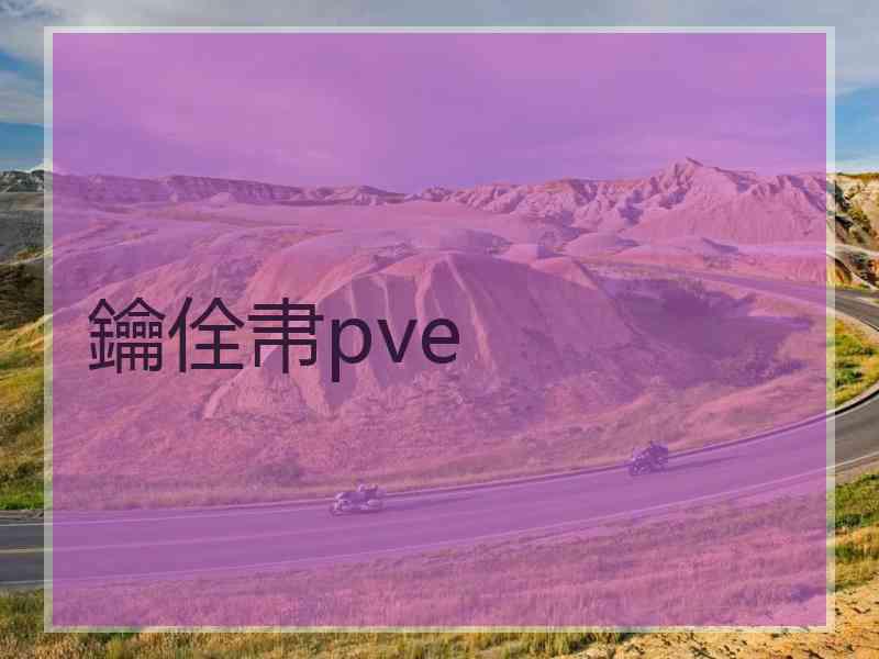 鑰佺帇pve