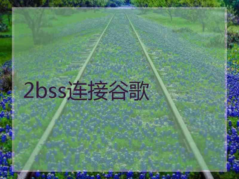 2bss连接谷歌