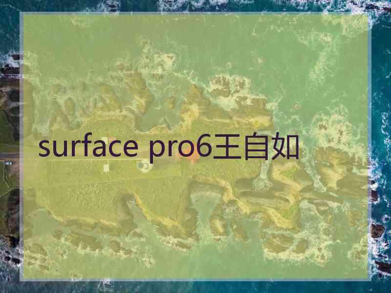 surface pro6王自如