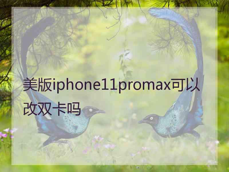 美版iphone11promax可以改双卡吗