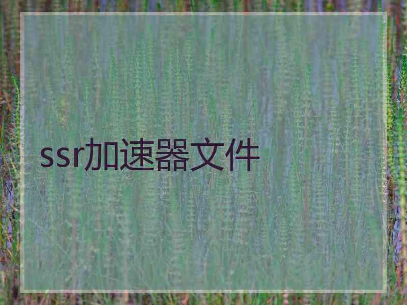 ssr加速器文件