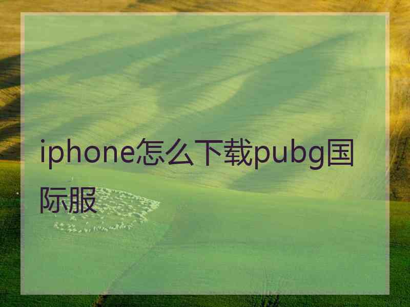 iphone怎么下载pubg国际服