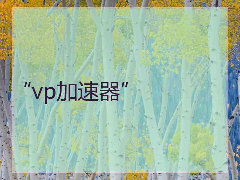 “vp加速器”